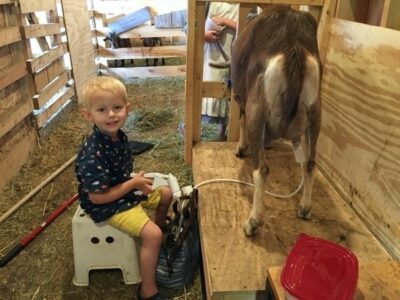 Start ‘Em Young: Connect Kids with the Land to Yield a Lifetime of Harvests Image